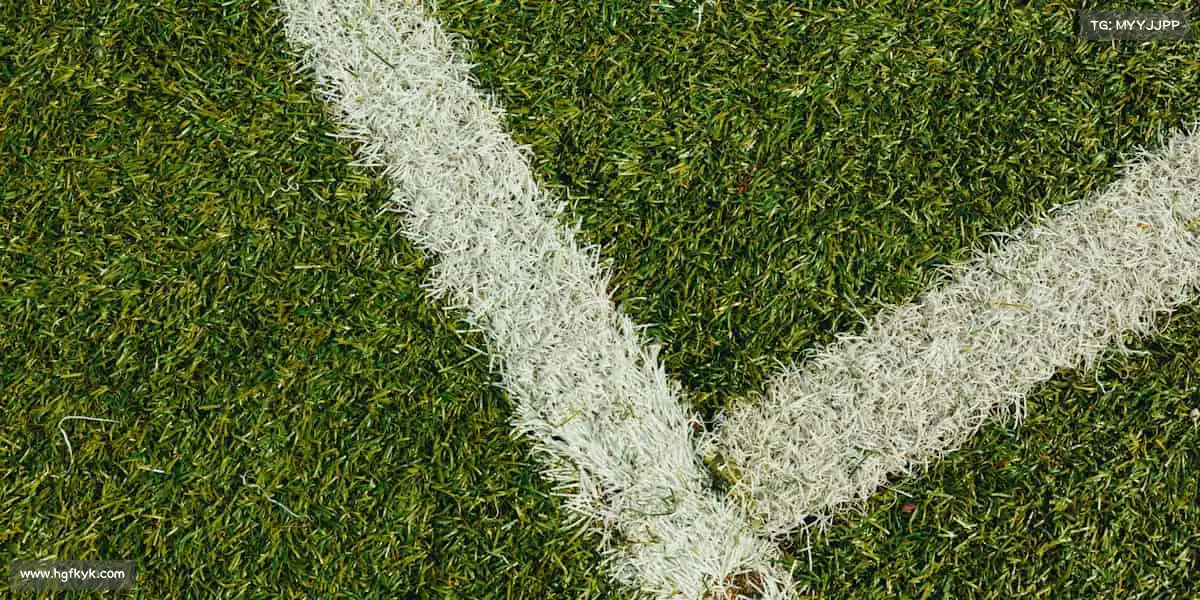 <strong>K1体育</strong>🏊‍♀️在浪潮中破浪，于泳池里绽放自由的力量！